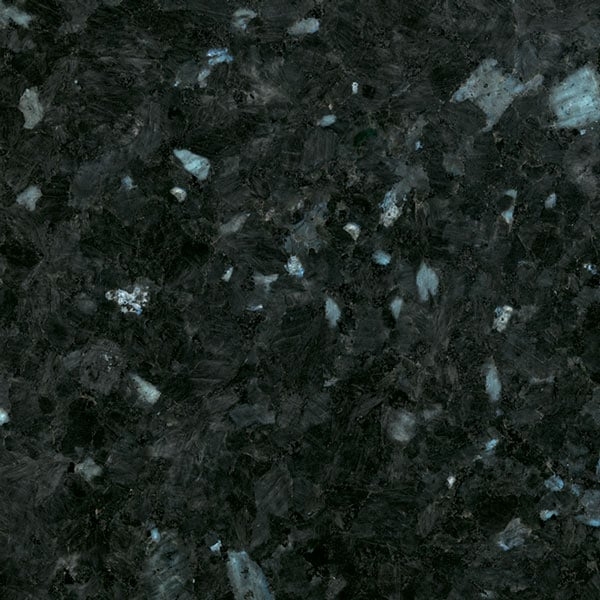 Labrador Oscuro